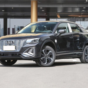 audi q2l e tron